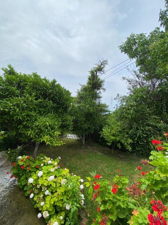 Apartament Radhime Apartment Vlore