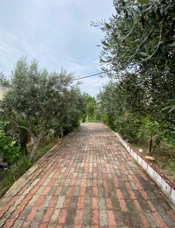 Apartament Radhime * Vlore