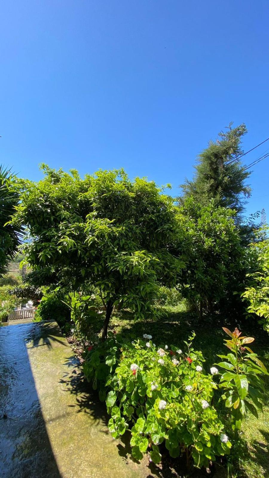 Apartament Radhime Vlore